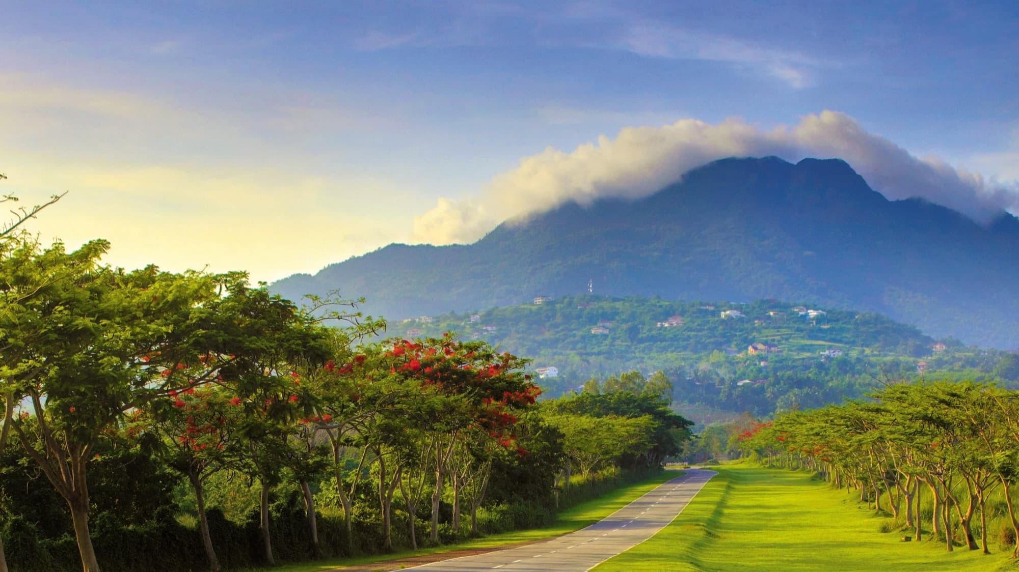 Ayala Greenfield Estates, tree-lined road toward Mount Makiling (photo)