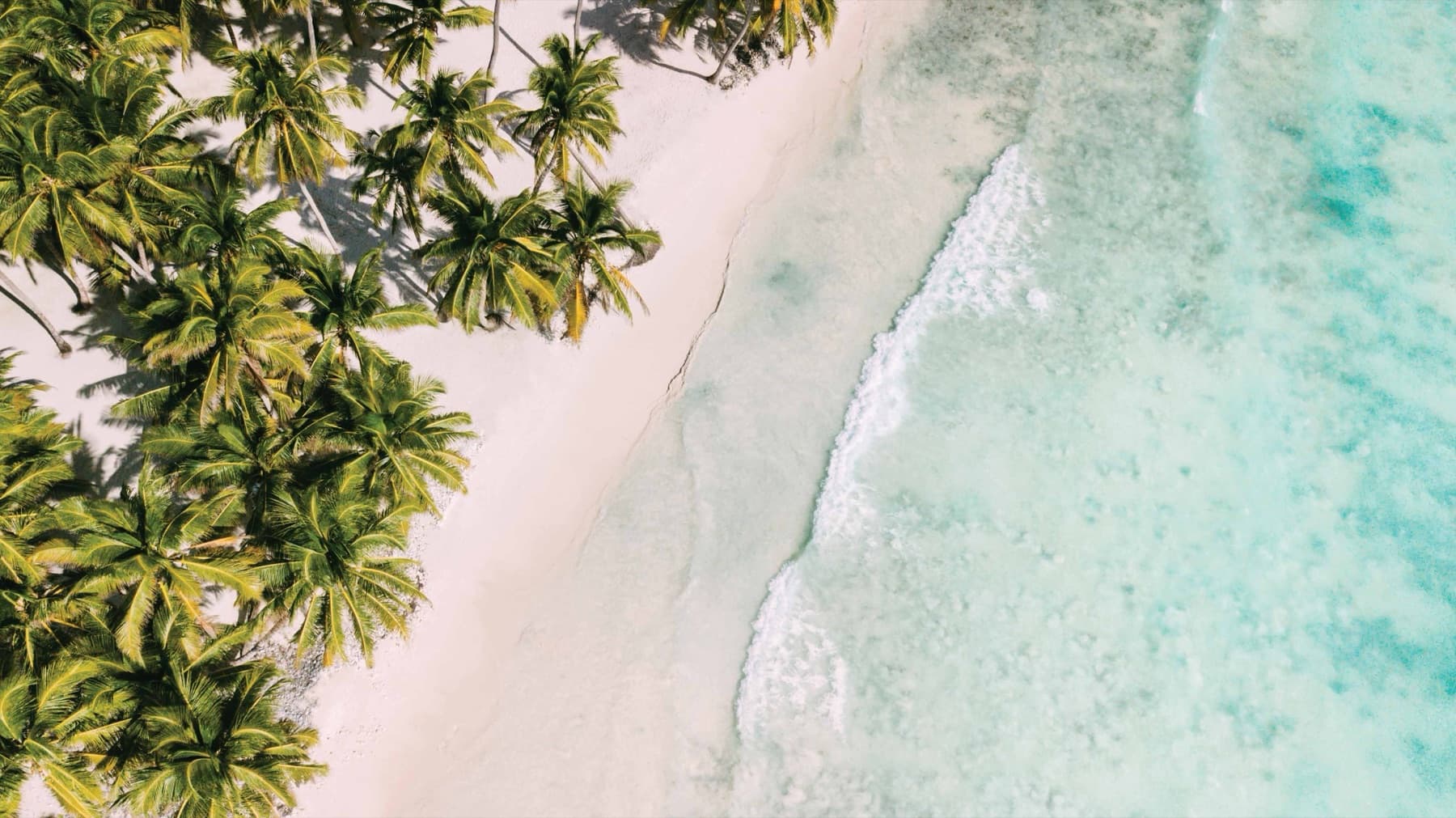 Lio Estate, El Nido, white-sand beach from above