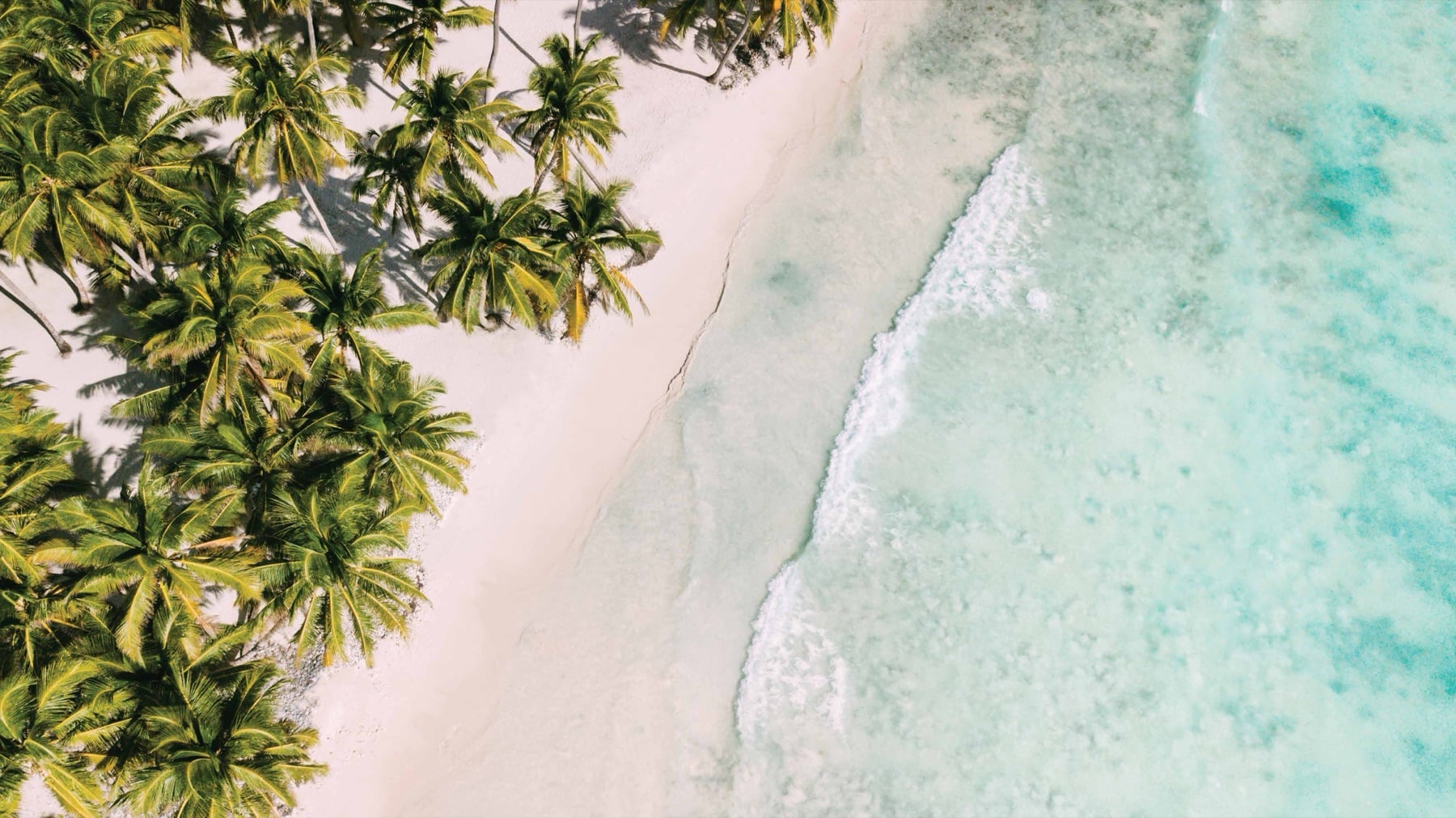 Lio Estate, El Nido, white-sand beach from above