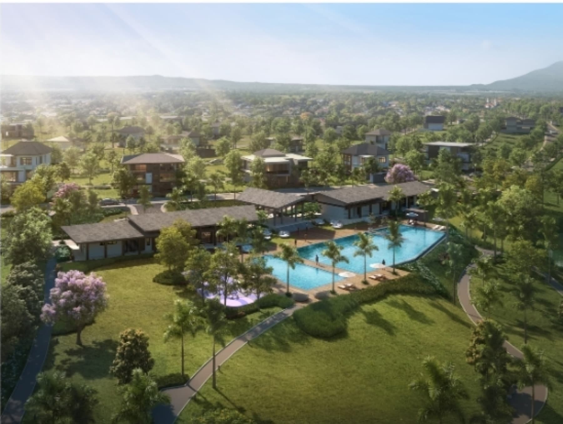 South Palmgrove, clubhouse and pool from above, artist's rendering